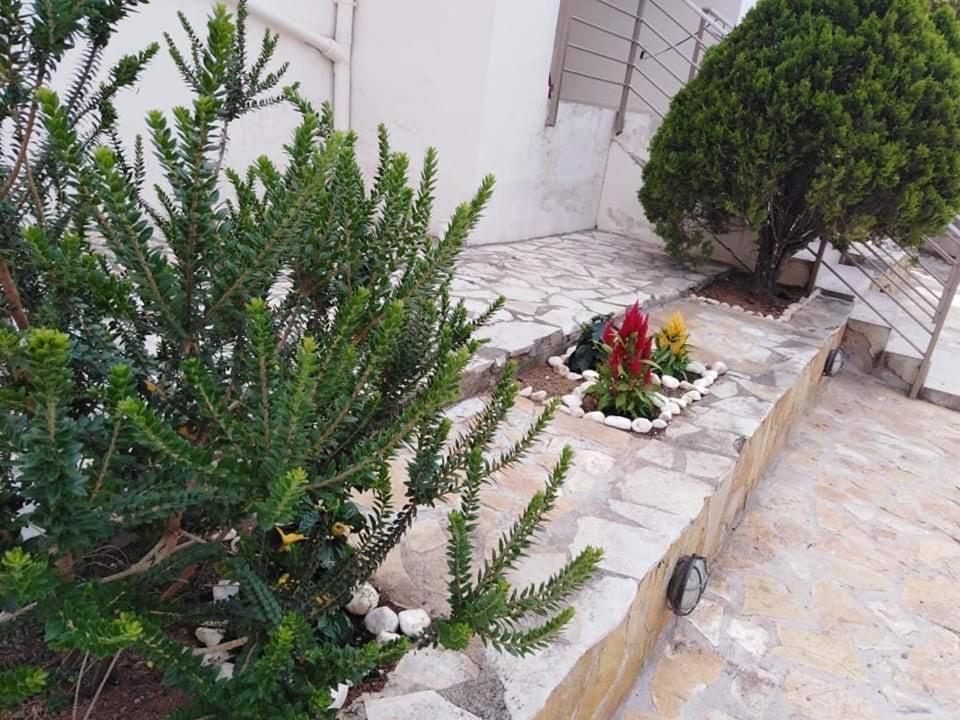 Treasures B&B Paloukia Luaran gambar